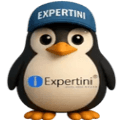 Expertini Penguin Mascot